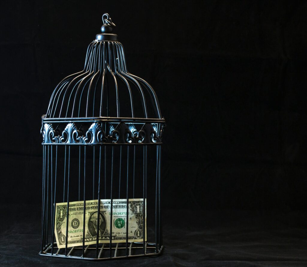 pexels-photo-747113-747113 A dollar bill imprisoned in a decorative cage symbolizing financial confinement.
